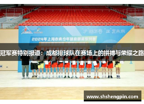 冠军赛特别报道：成都排球队在赛场上的拼搏与荣耀之路