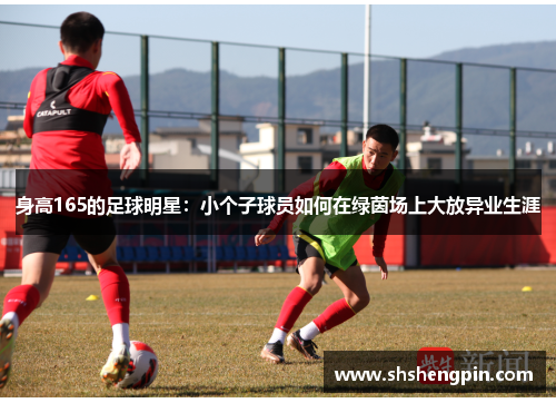 身高165的足球明星：小个子球员如何在绿茵场上大放异业生涯