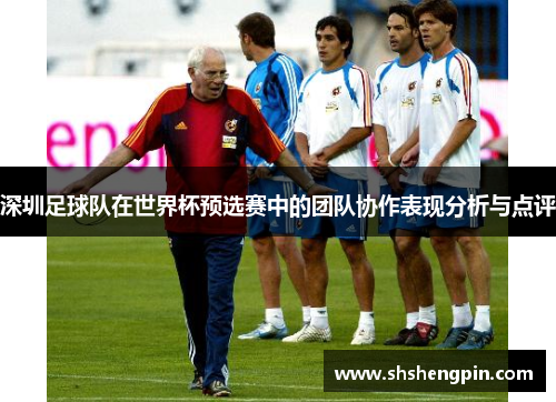 深圳足球队在世界杯预选赛中的团队协作表现分析与点评