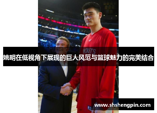 姚明在低视角下展现的巨人风范与篮球魅力的完美结合